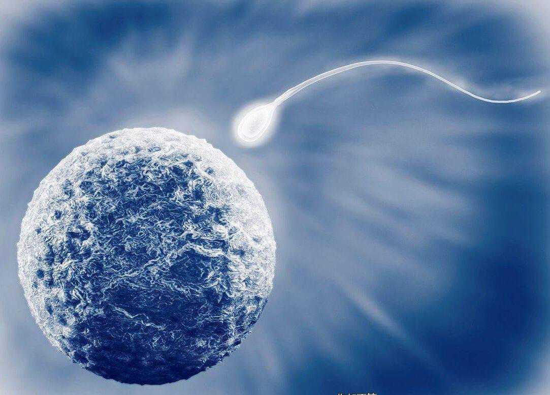 D3冻胚移植单次着床成功率解析