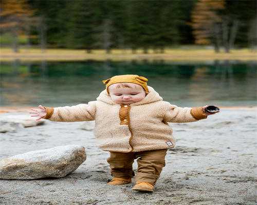 二胎生男孩能否通过试管实现？条件与限制详解